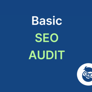 basic seo audit