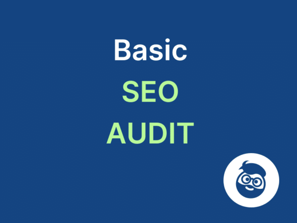 basic seo audit
