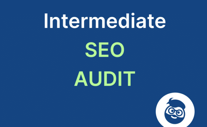 intermediate seo audit