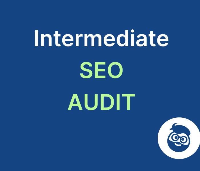 intermediate seo audit